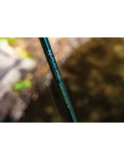 Guru N-Gauge Specimen Duel Tip 12 "1.25lb